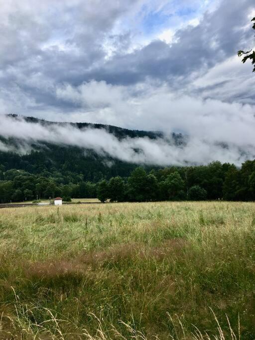 Apartman Boruvka Železná Ruda Exterior foto