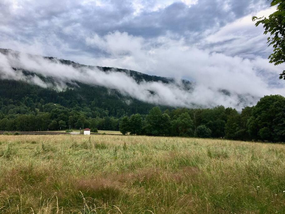 Apartman Boruvka Železná Ruda Exterior foto