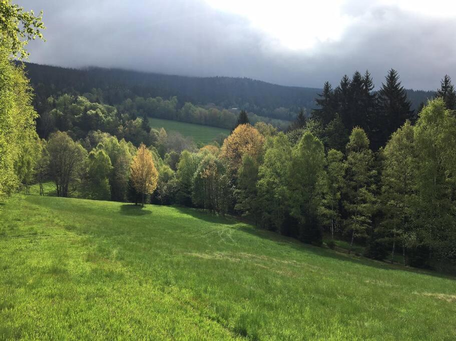 Apartman Boruvka Železná Ruda Exterior foto