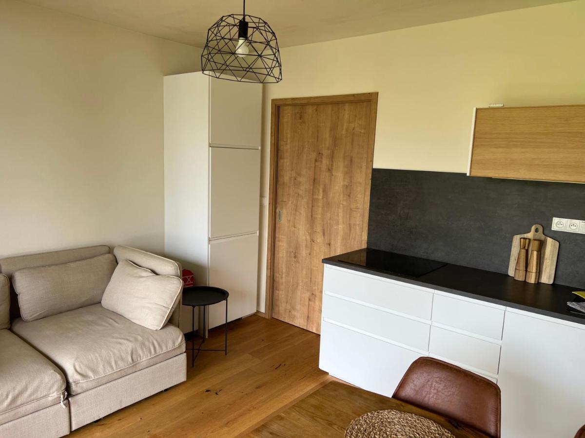 Apartman Boruvka Železná Ruda Exterior foto