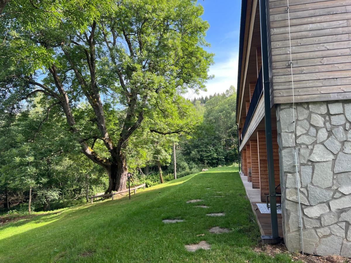 Apartman Boruvka Železná Ruda Exterior foto