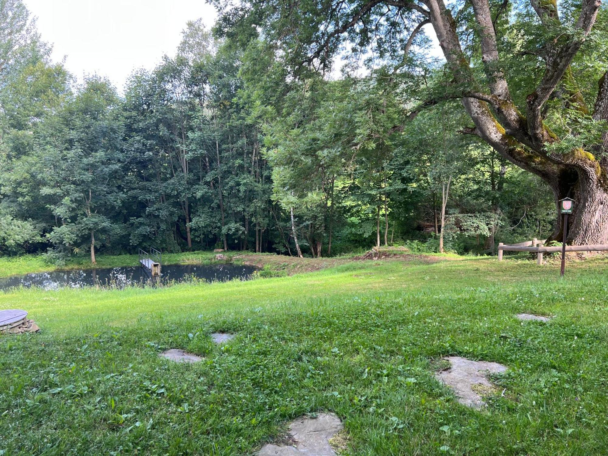 Apartman Boruvka Železná Ruda Exterior foto