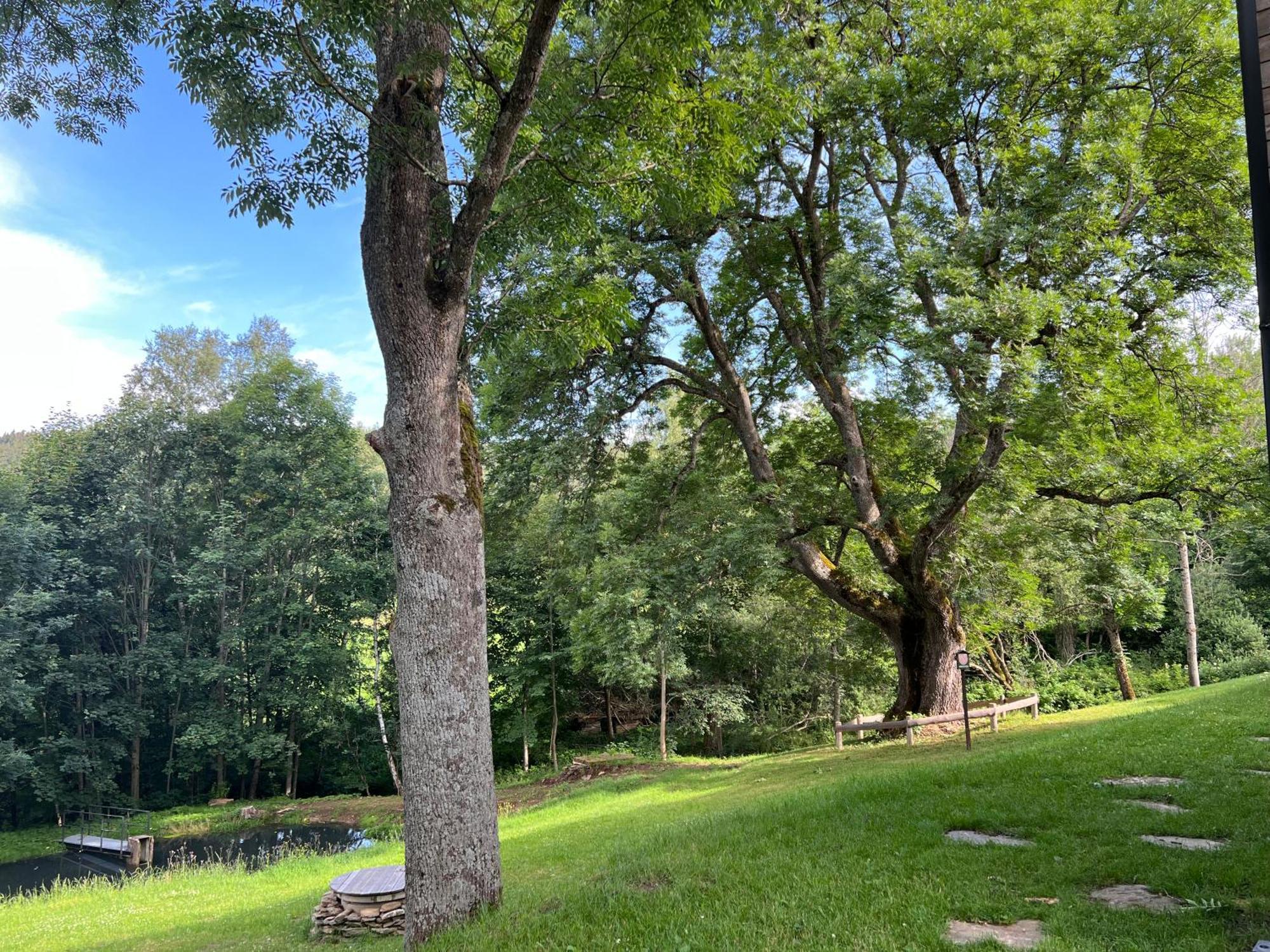 Apartman Boruvka Železná Ruda Exterior foto