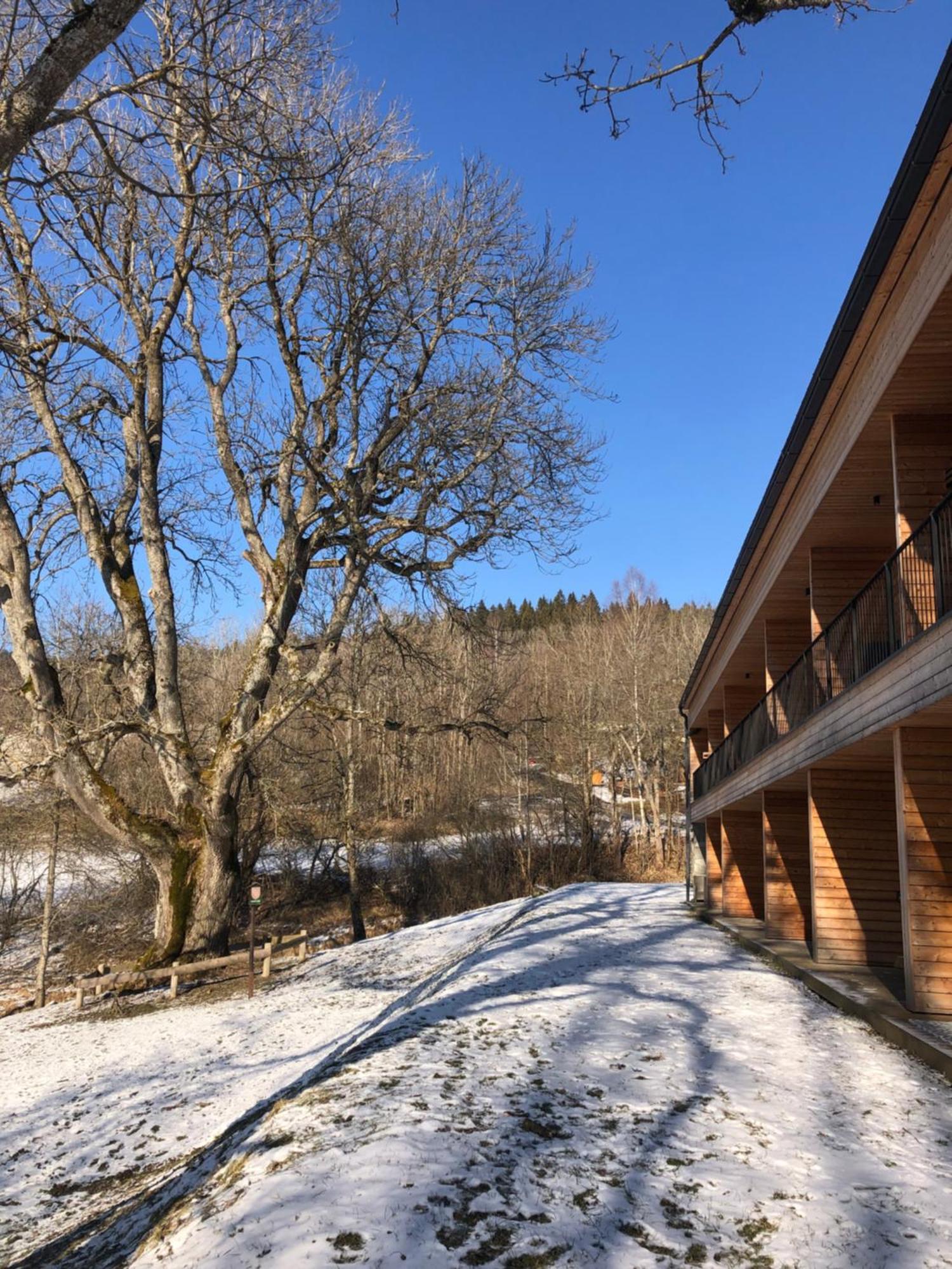 Apartman Boruvka Železná Ruda Exterior foto